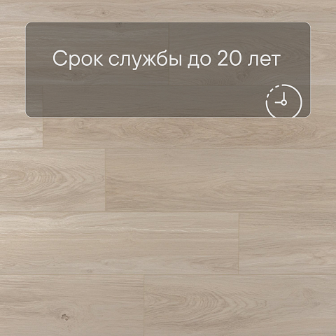 EvoFloor Home (Rus) Ash Light (фото 6)