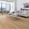 Upofloor Дуб 4V Гранд Брашд Уайт Ойлд белое масло однополосный Oak 4 Grand 138 Brushed White Oiled 1S (миниатюра фото 5)