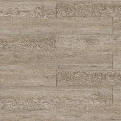 Evofloor Life Click 4.2mm (CN) Oak Cite (фото 1)