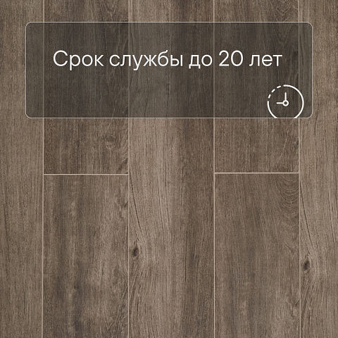 Deck Сенсо 4V 2014-6 Дуб Квебек (фото 9)
