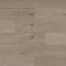 QS Second choice Alpha BLOS  SPE40322 - AVSPU 40322 Дуб береговой песчаный (миниатюра фото 1)