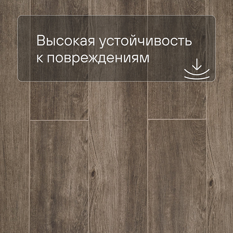 Deck Сенсо 4V 2014-6 Дуб Квебек (фото 8)