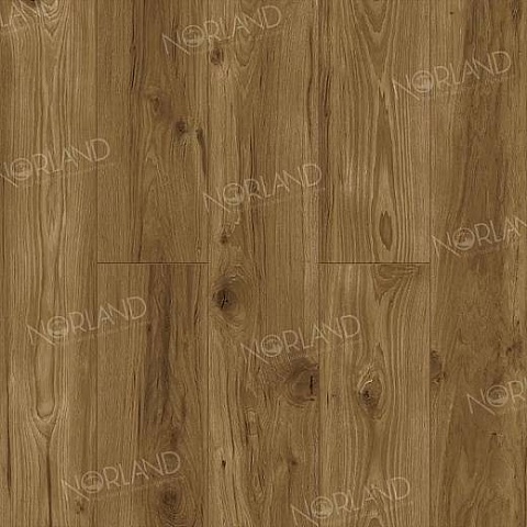 Norland Elegant 8 4V 33 (CH) LF301-18 Дуб Корсика (фото 1)