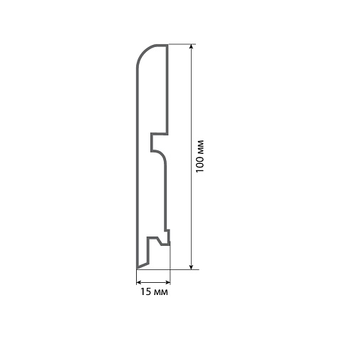 Finitura dekor R13 100х15х2400/ Дуб (фото 2)