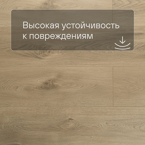 My Step Stone MS8508 Ламинат Дуб Монблан 8 мм класс 33/АС5 с фаской (фото 5)