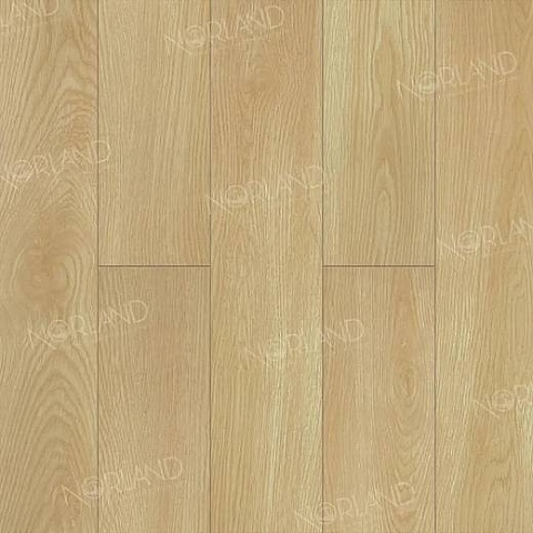 Norland Elegant Strong 12 4V 34 (CH) LF302-04 Дуб Тасмания (фото 1)